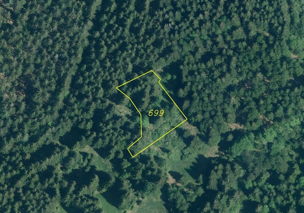 Ostatní, Špičák, Železná Ruda, 3 679 m²