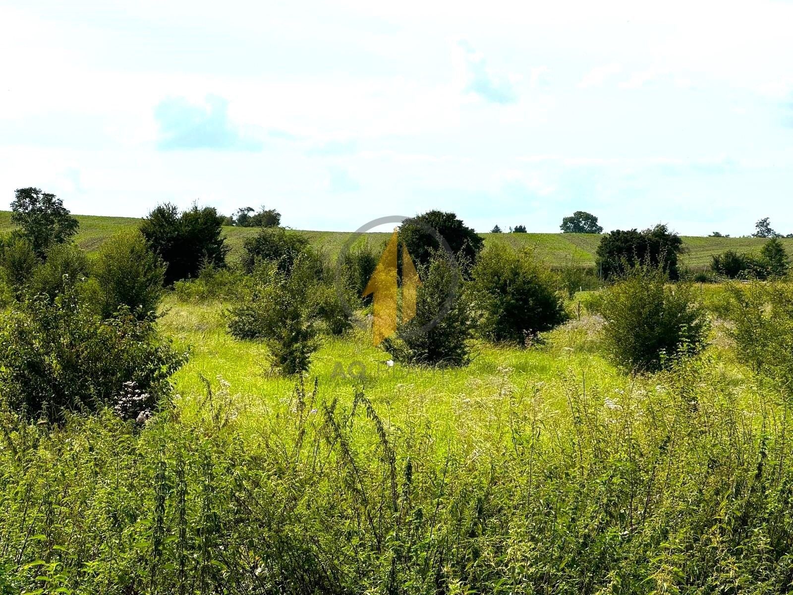 Prodej pozemek pro bydlení - , Račice nad Trotinou, 5 m²