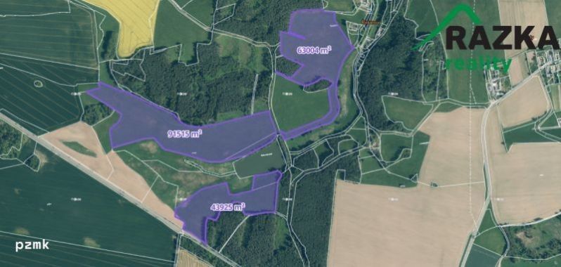 Prodej zemědělský pozemek - Planá, 198 444 m²