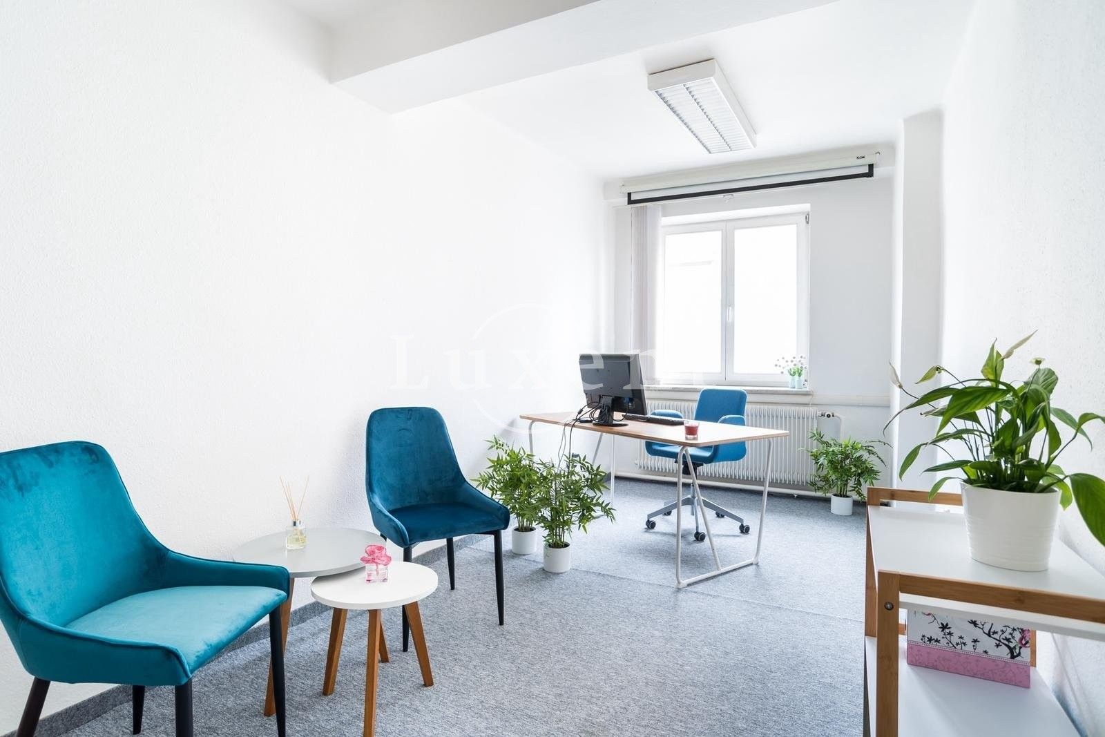 Kanceláře, Břehová, Praha, 22 m²