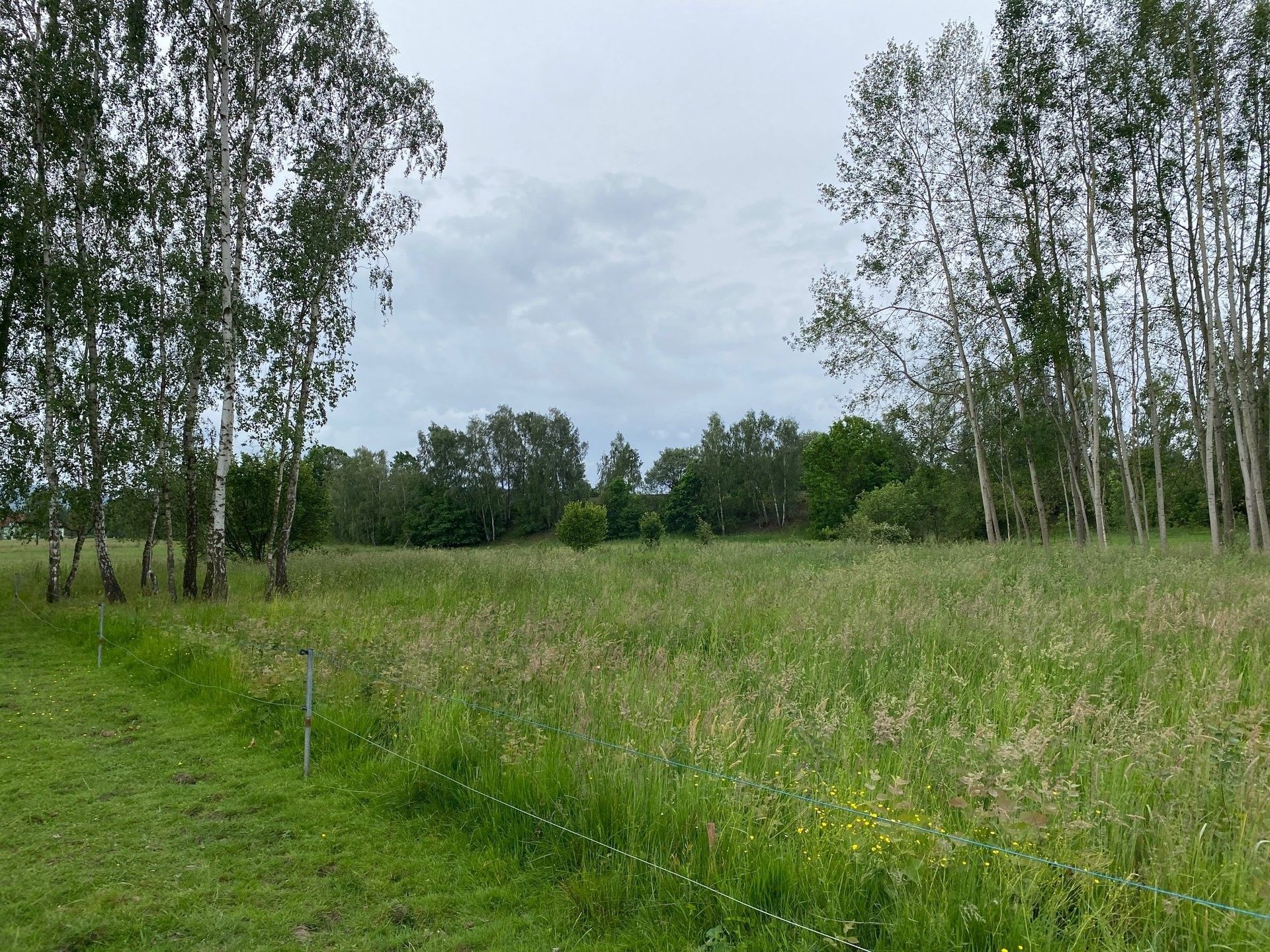 Prodej pozemek pro bydlení - Táborská, Varnsdorf, 1 344 m²