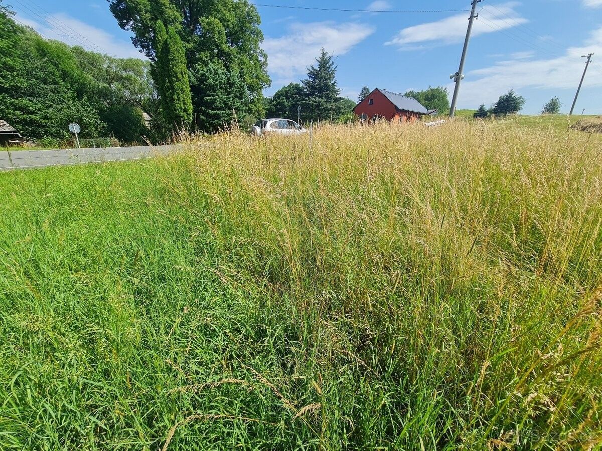 Prodej pozemek pro bydlení - Písečná u Jeseníku, 790 82