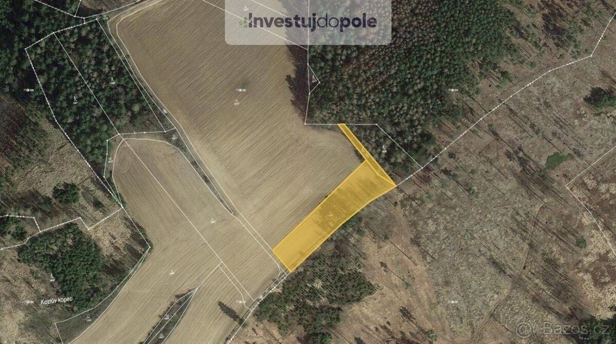 Prodej louka - Načeradec, 257 08, 3 856 m²