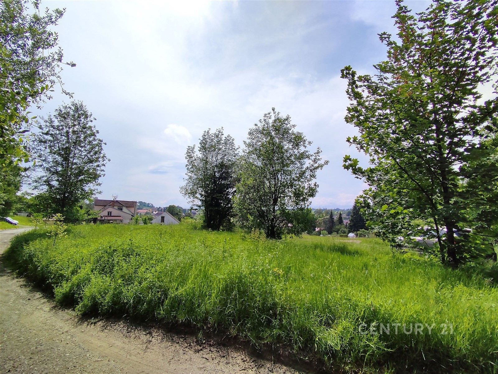 Zemědělské pozemky, Studená