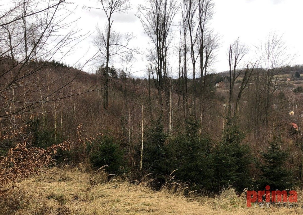 Lesy, Mirošovice, 6 037 m²