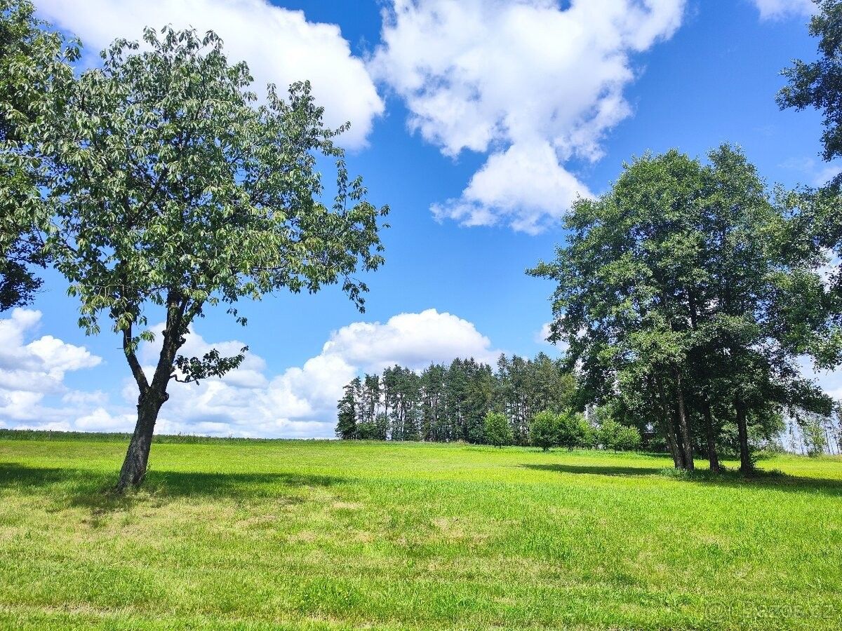 Prodej pozemek pro bydlení - Načeradec, 257 08, 4 814 m²