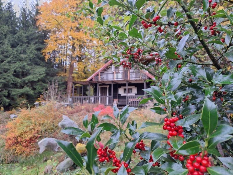 Chaty, Vysoká Srbská, 46 m²