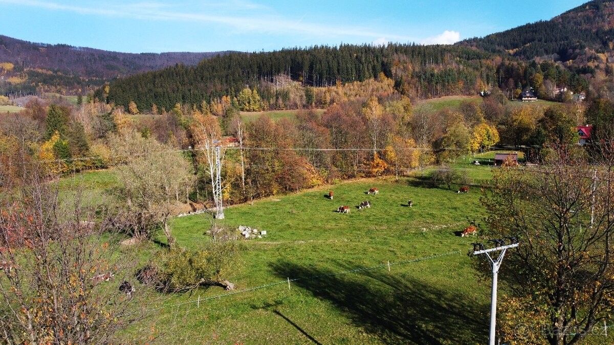 Prodej pozemek - Pražmo, 739 04, 1 479 m²