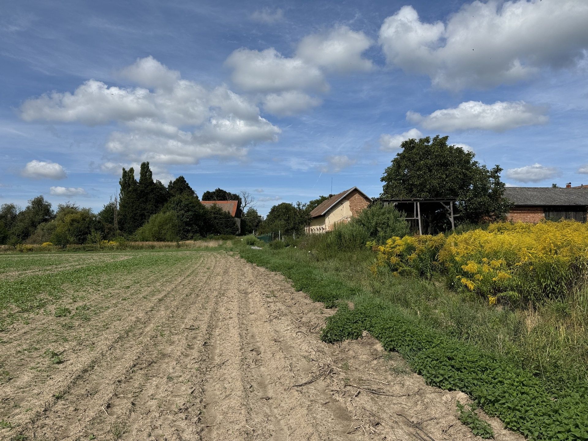 Prodej pozemek pro bydlení - Bezděz, 17 726 m²