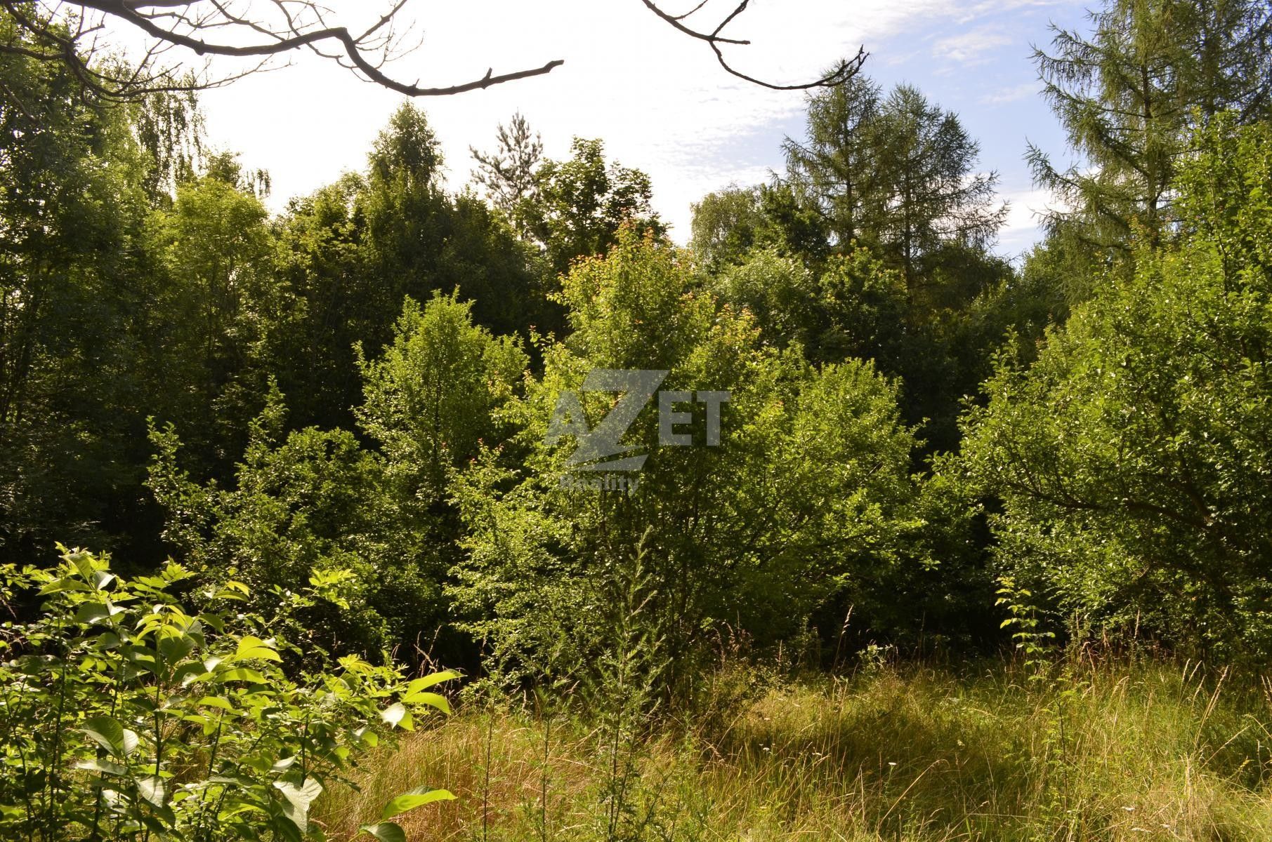 Prodej zahrada - Bohutín, Šumperk, 11 926 m²