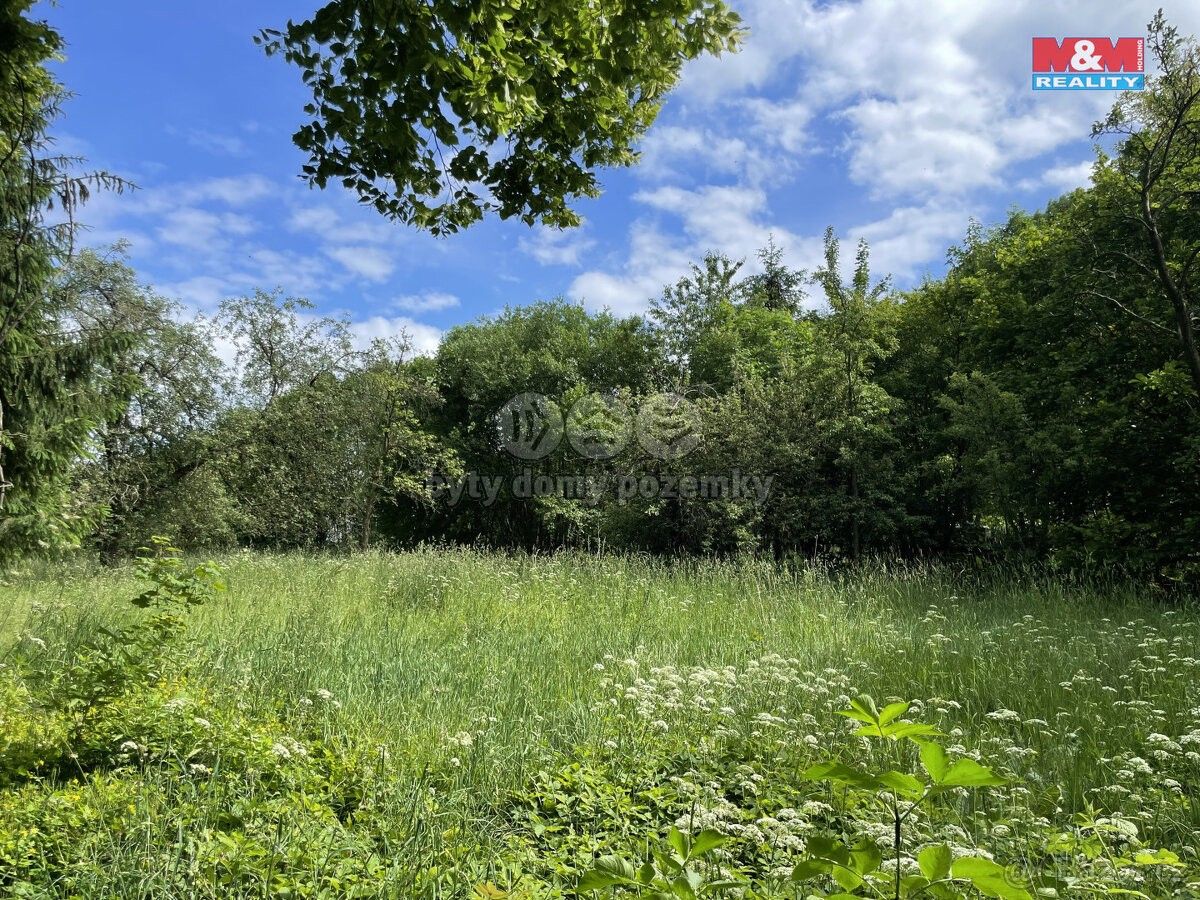 Ostatní, Proseč u Skutče, 539 44, 3 049 m²