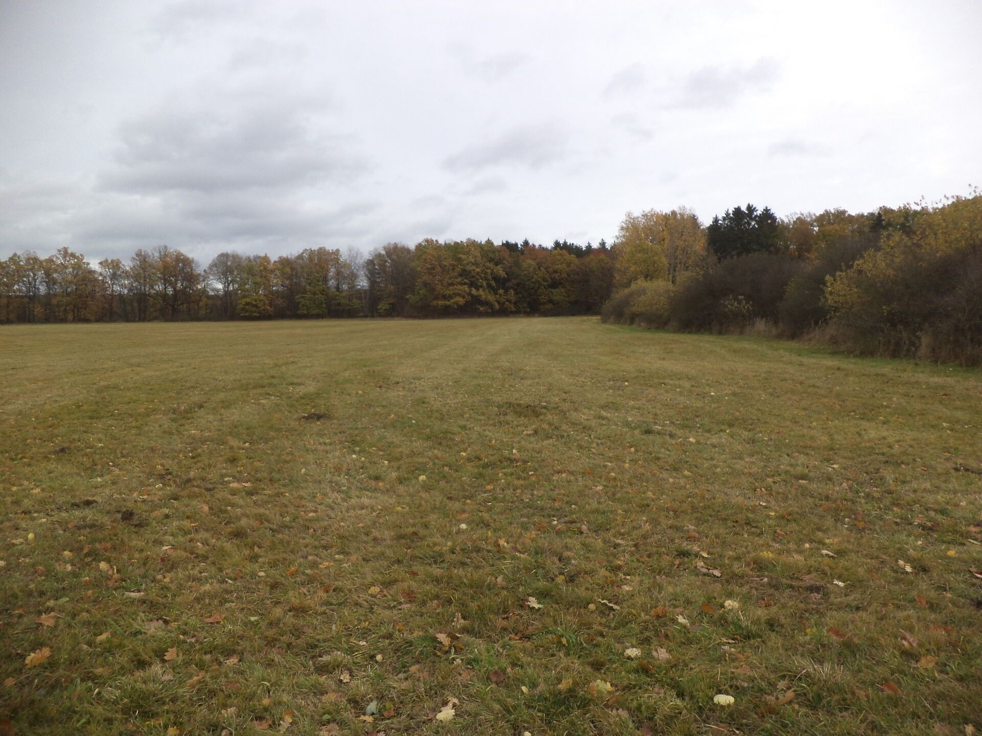 Zemědělské pozemky, Ždírec, 26 m²