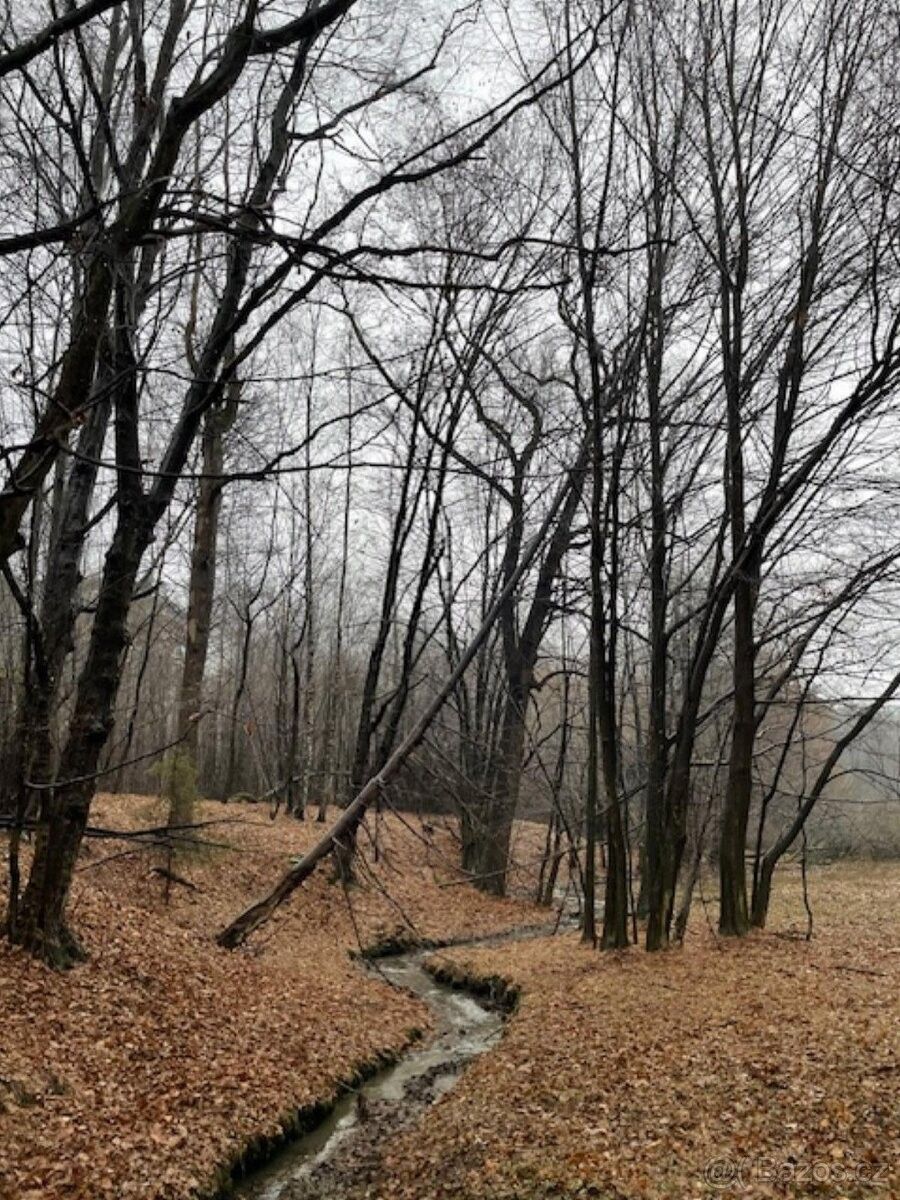 Pozemky pro bydlení, Velká Polom, 747 64