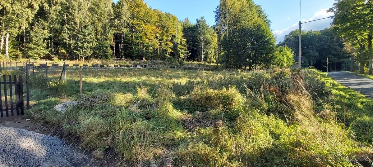 Pozemky pro bydlení, Rybniště, 407 51