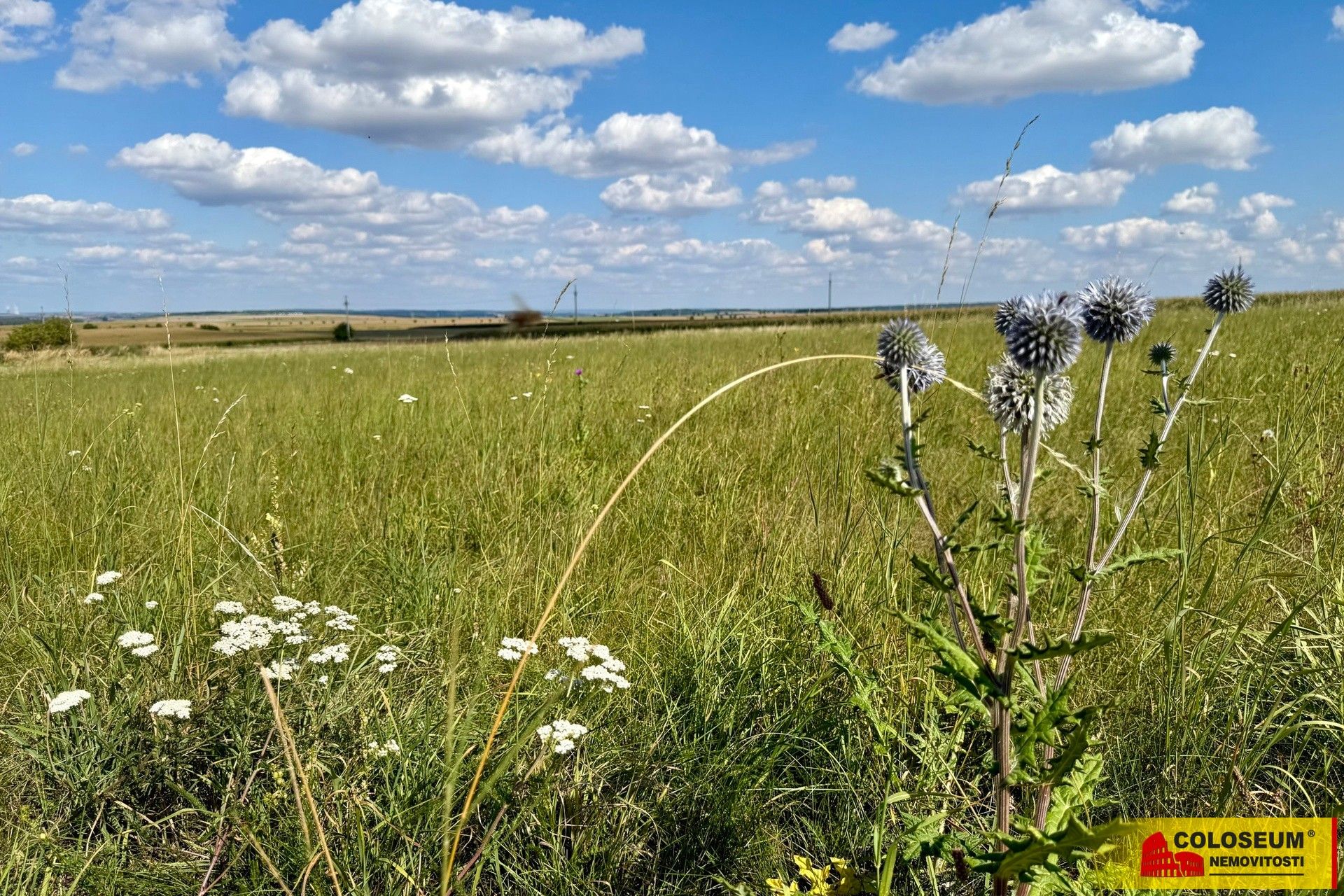 Komerční pozemky, Znojmo
