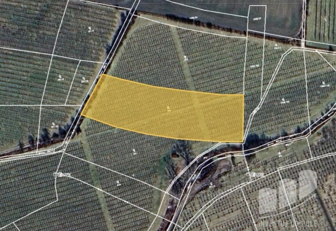 Prodej pozemek - Úštěk, 411 45, 3 704 m²