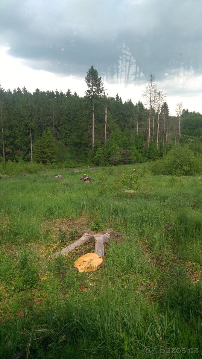 Prodej pozemek - Třešť, 589 01, 44 624 m²