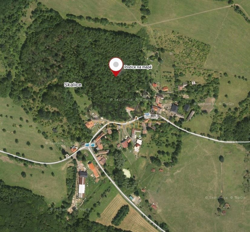 Prodej les - Třebívlice, 411 15, 15 940 m²