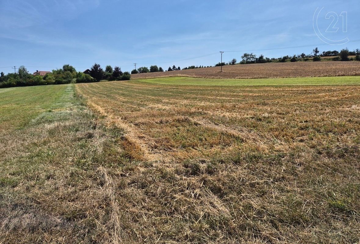 Prodej zemědělský pozemek - Židovice, 4 261 m²