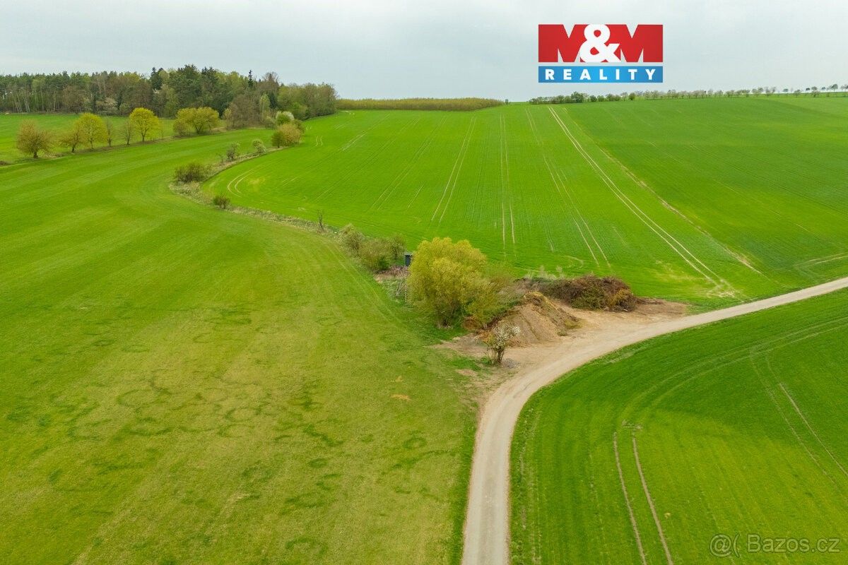 Pozemky pro bydlení, Olešnice u Rychnova nad Kněžnou, 517 36