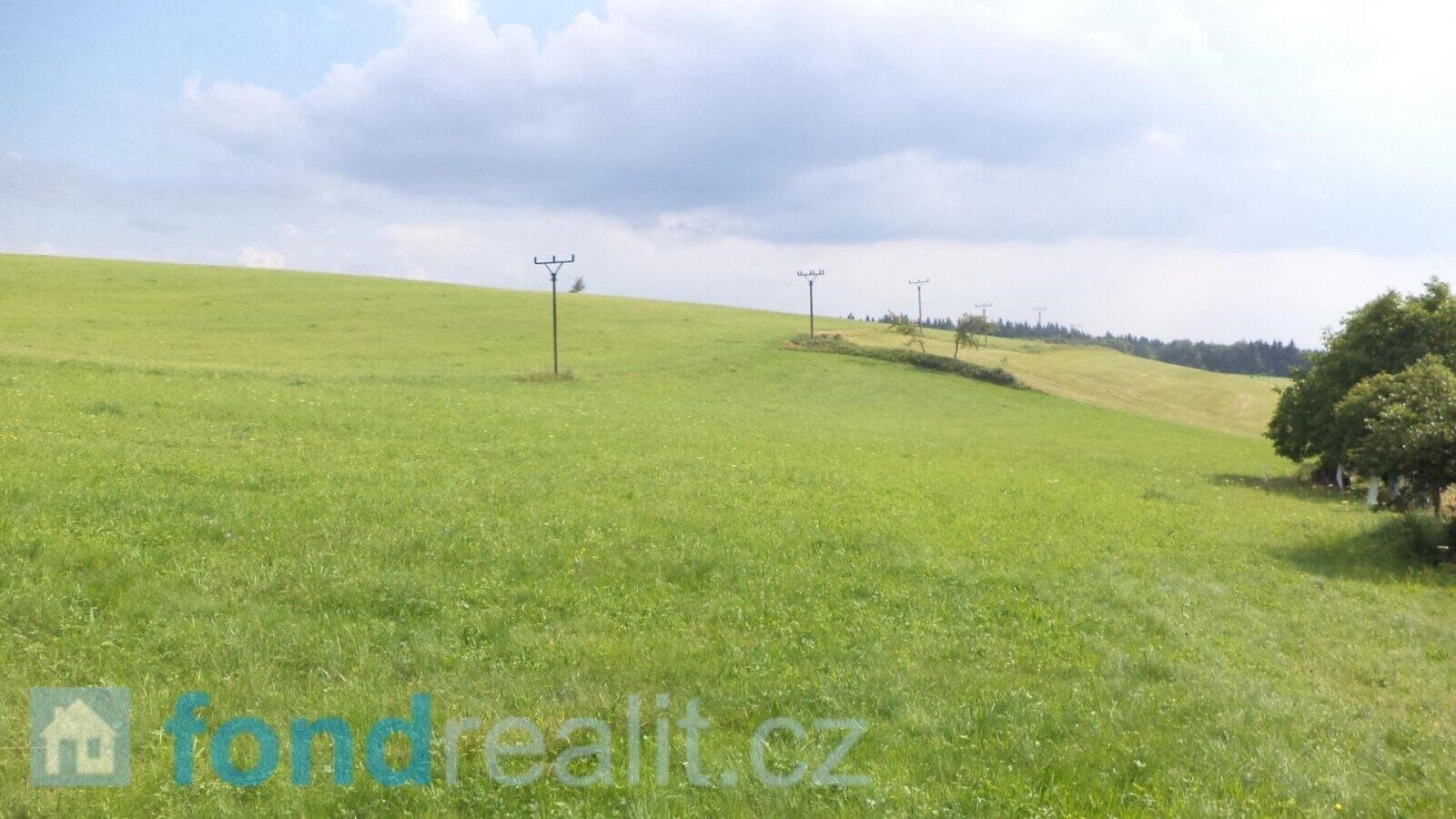 Prodej pozemek - Rychnov nad Kněžnou, 8 965 m²