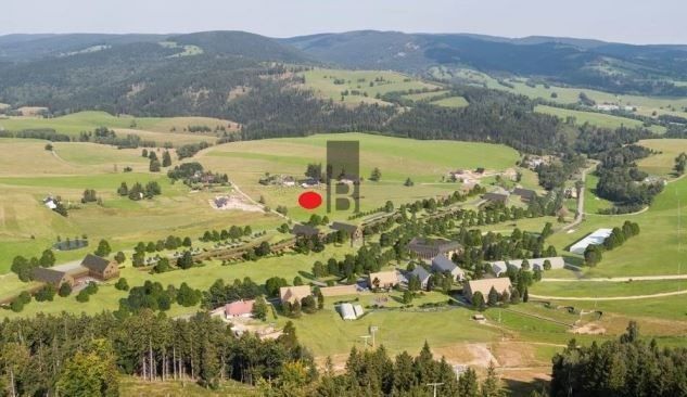 Ostatní, Staré Město pod Sněžníkem, 788 32, 17 500 m²