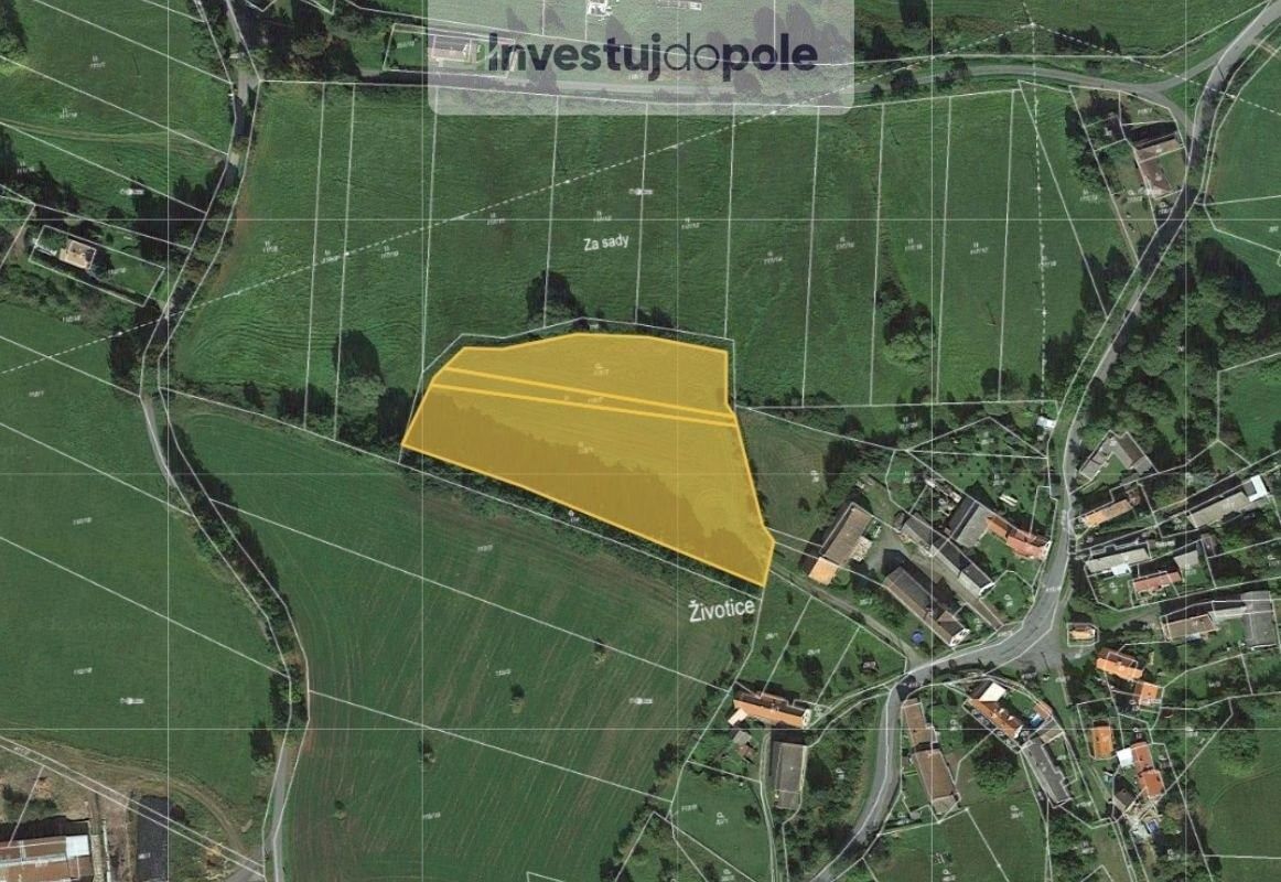 Prodej louka - Kasejovice, 335 44, 4 118 m²