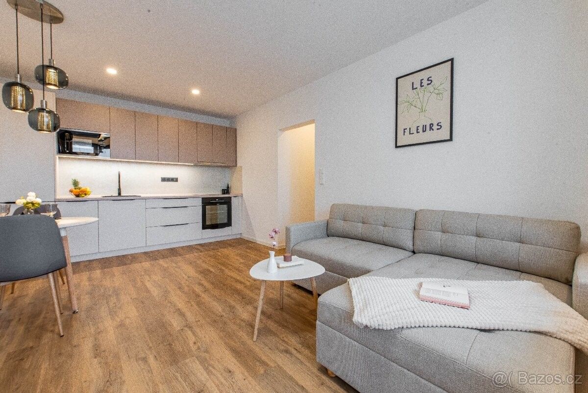 Byty, České Budějovice, 370 11