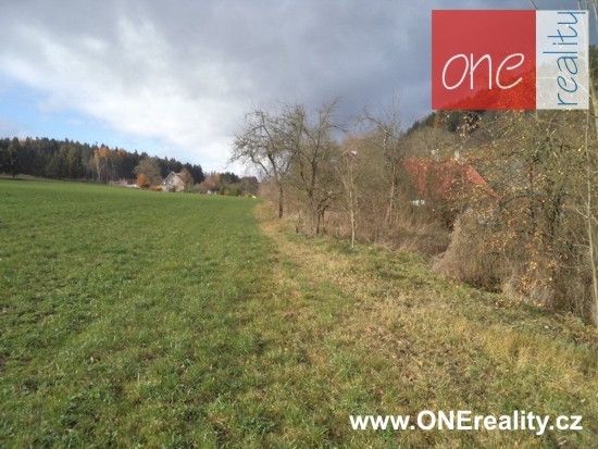 Prodej pozemek pro bydlení - Bezděkov nad Metují, 549 31