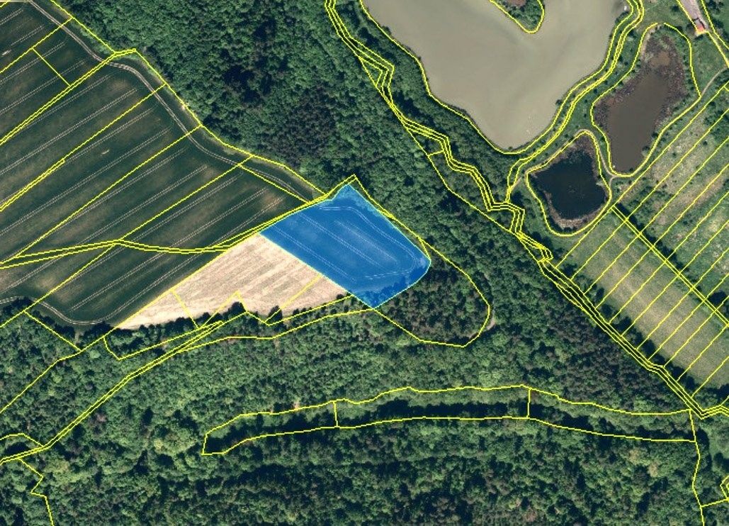 Prodej zemědělský pozemek - Bítov