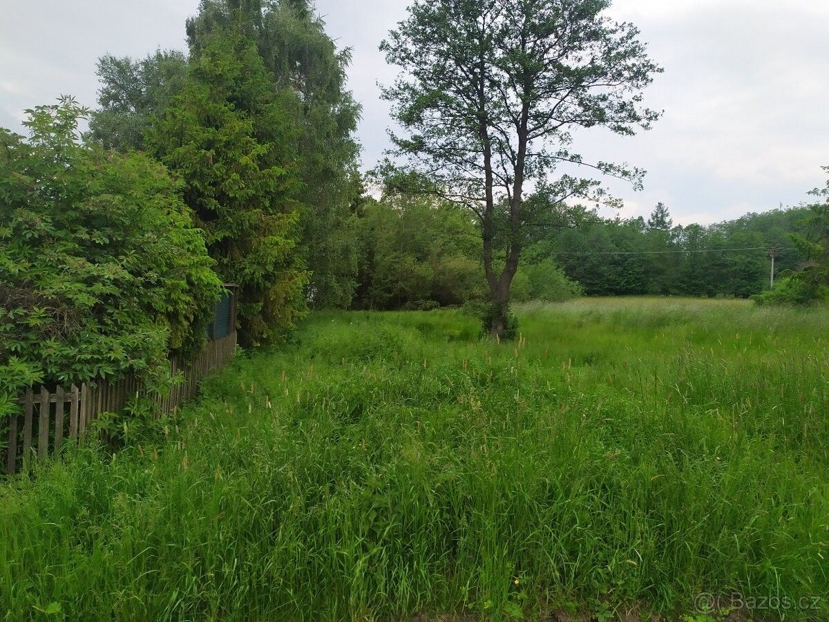 Prodej pozemek - Dvorce u Bruntálu, 793 68, 730 m²