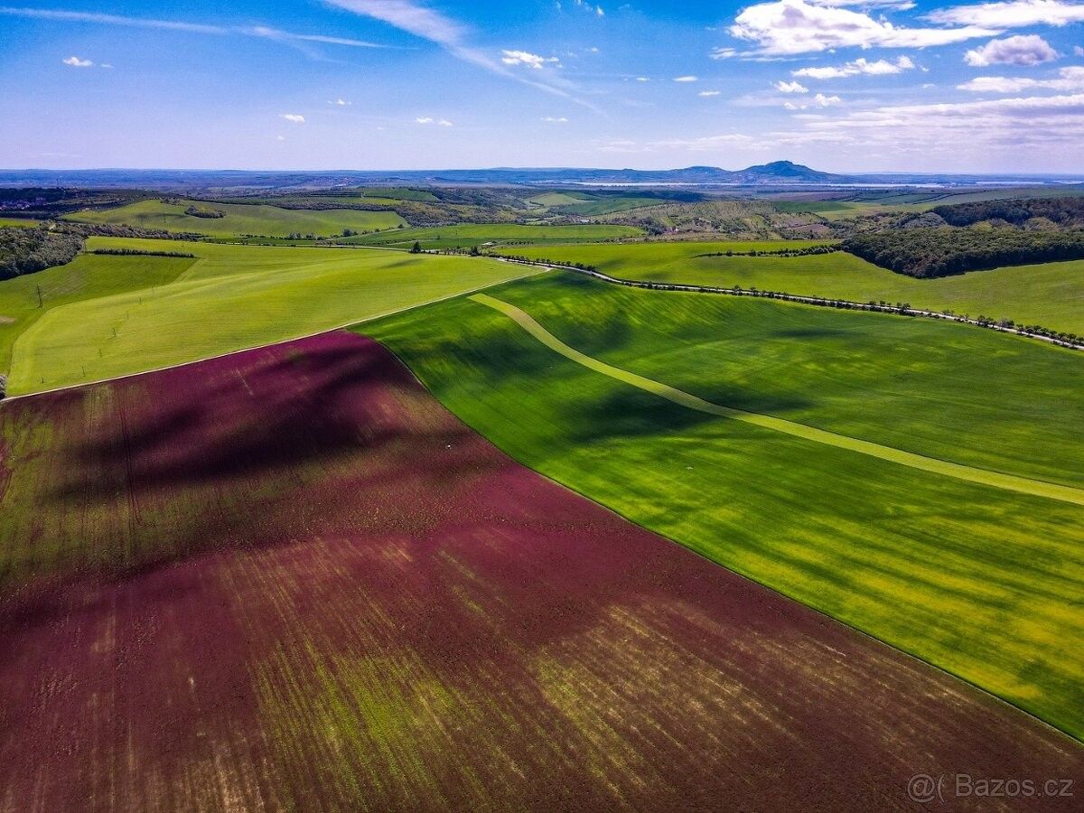 Zemědělské pozemky, Kněždub, 696 64