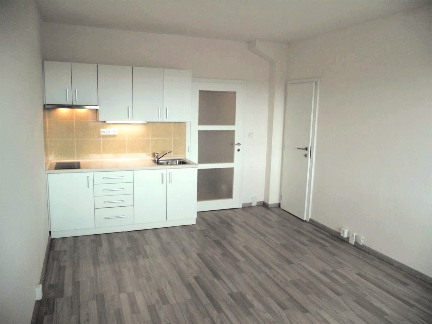 1+kk, Pod lysinami, Praha, 30 m²