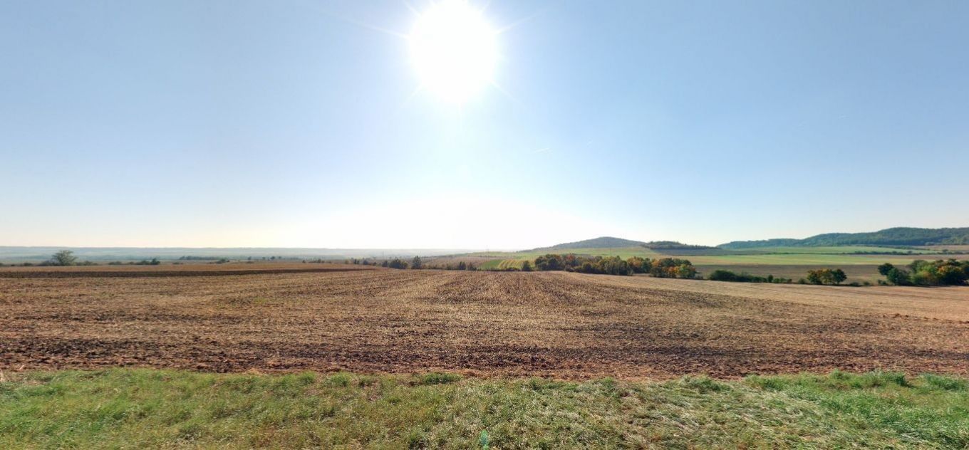 Prodej zemědělský pozemek - Chožov, 12 389 m²