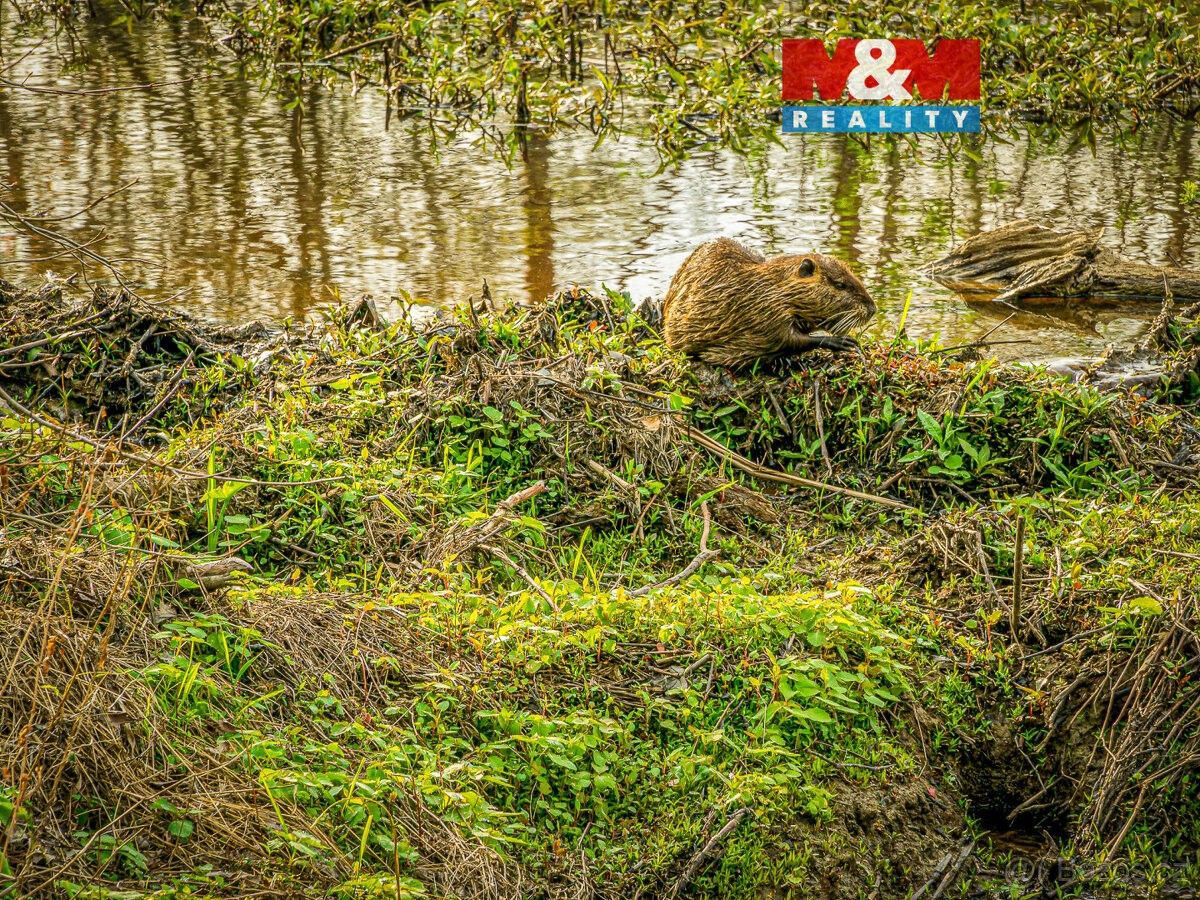 Pozemky pro bydlení, Lštění, 257 22