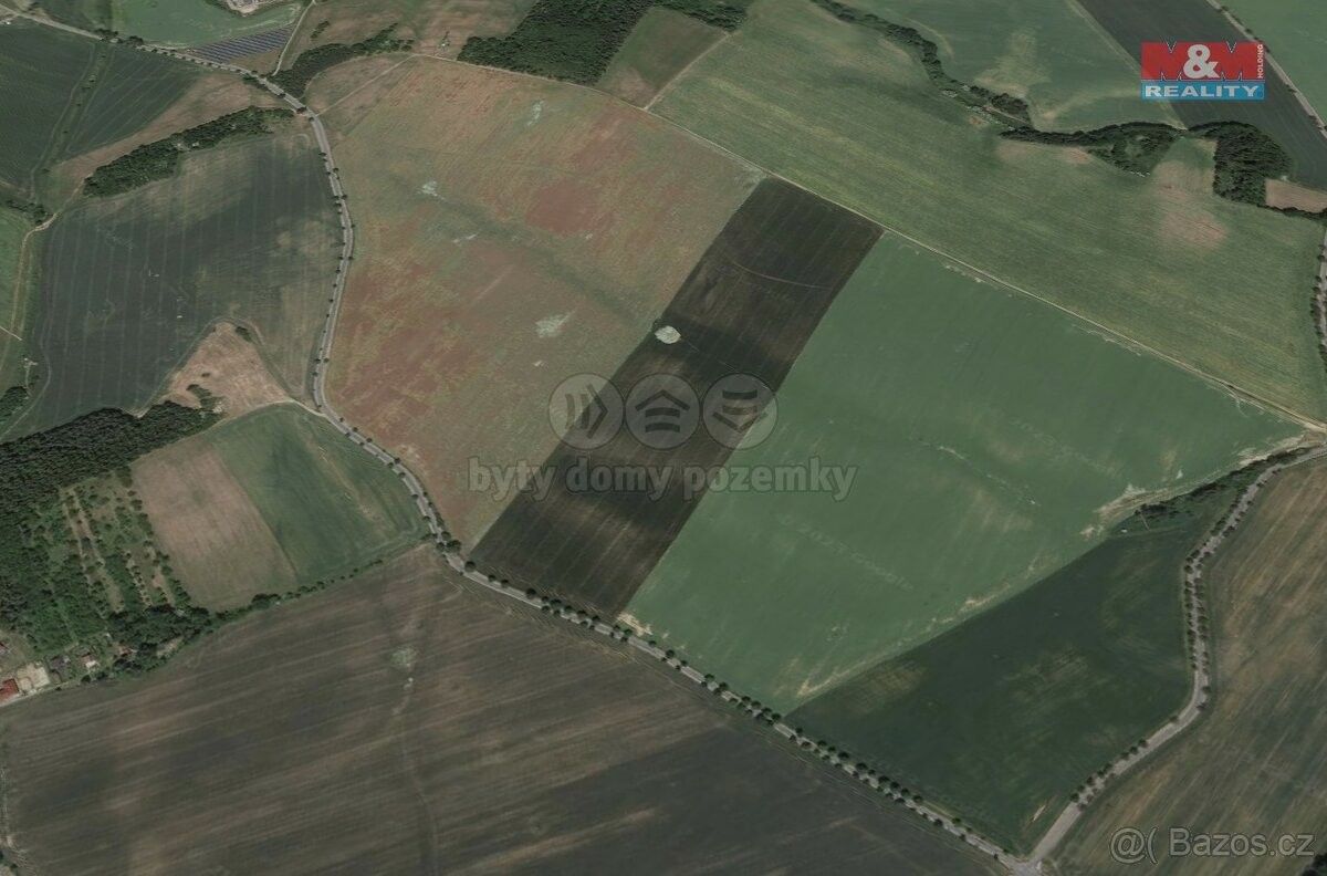 Prodej zemědělský pozemek - Určice, 798 04, 8 800 m²