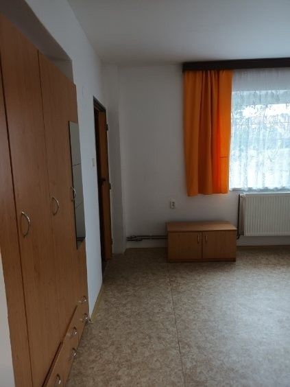 Pronájem byt 1+1 - Velká Bíteš, 595 01, 43 m²