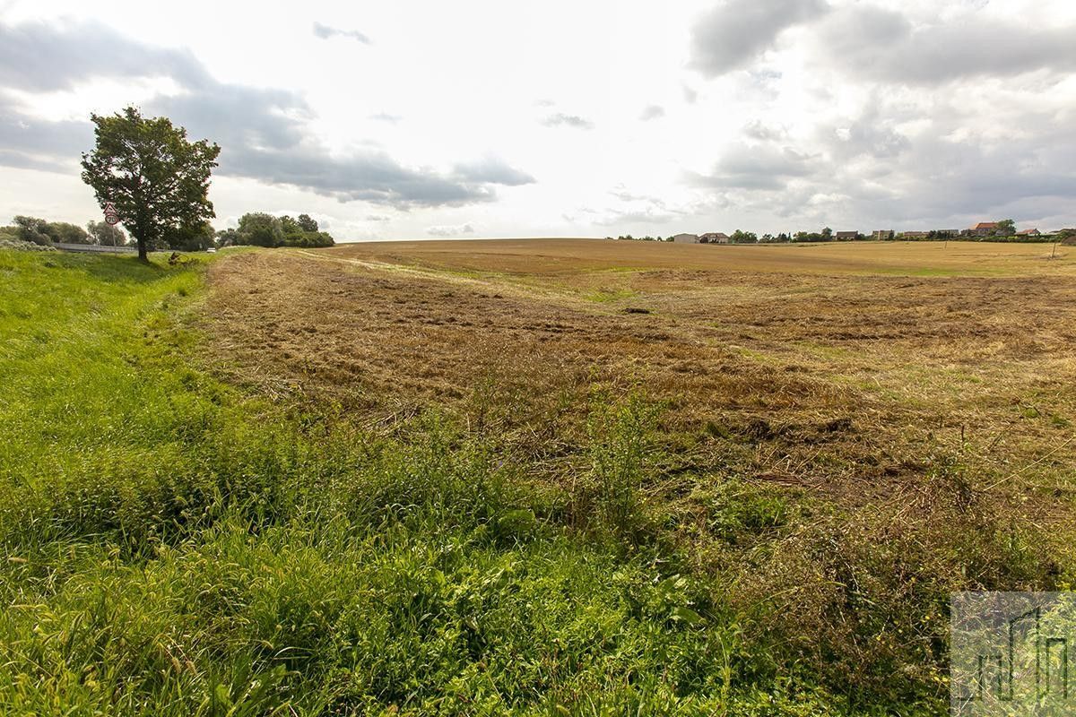 Pozemky pro bydlení, Čížkovice, 2 480 m²