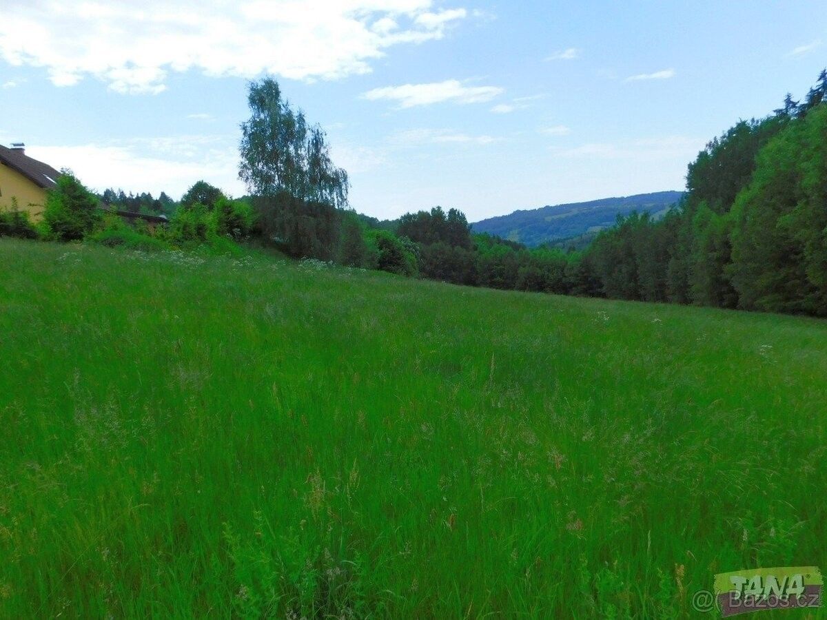 Prodej louka - Semily, 513 01, 12 565 m²