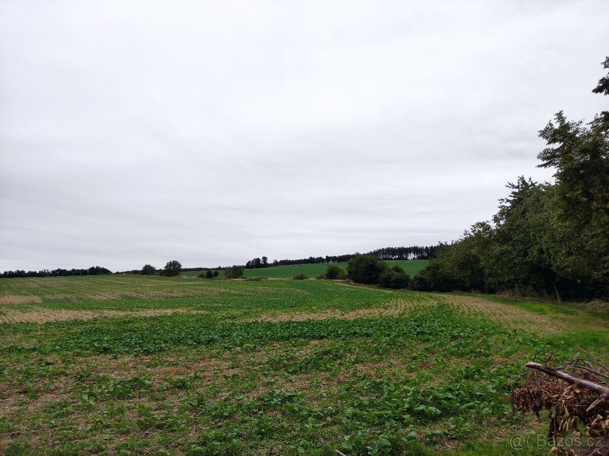 Pozemky pro bydlení, Mníšek pod Brdy, 252 10