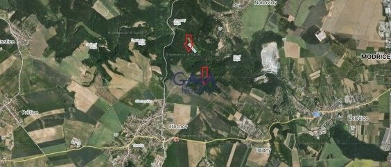 Prodej les - Kněždub, 696 64, 16 902 m²