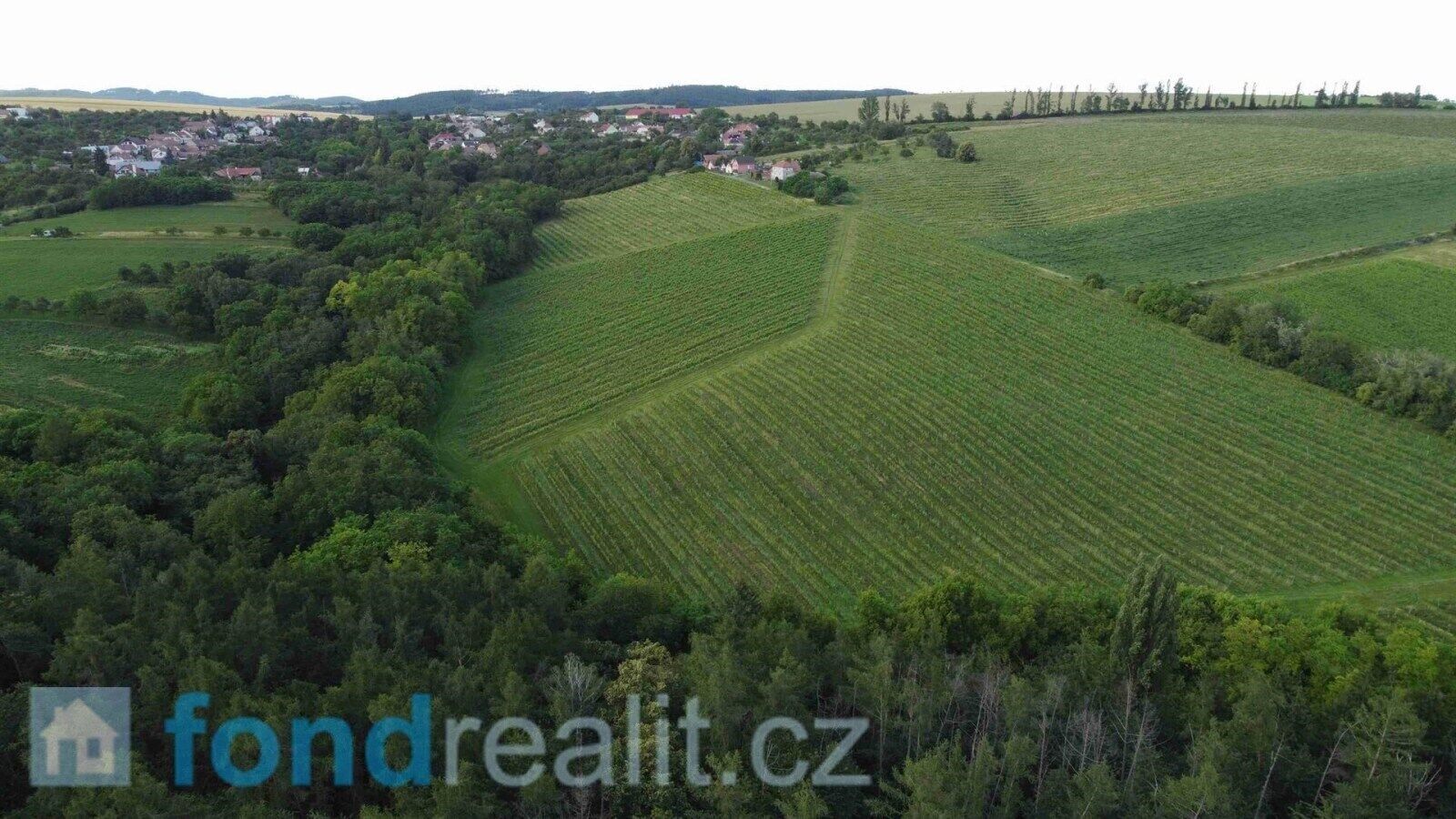 Prodej pozemek - Újezdec, 7 374 m²