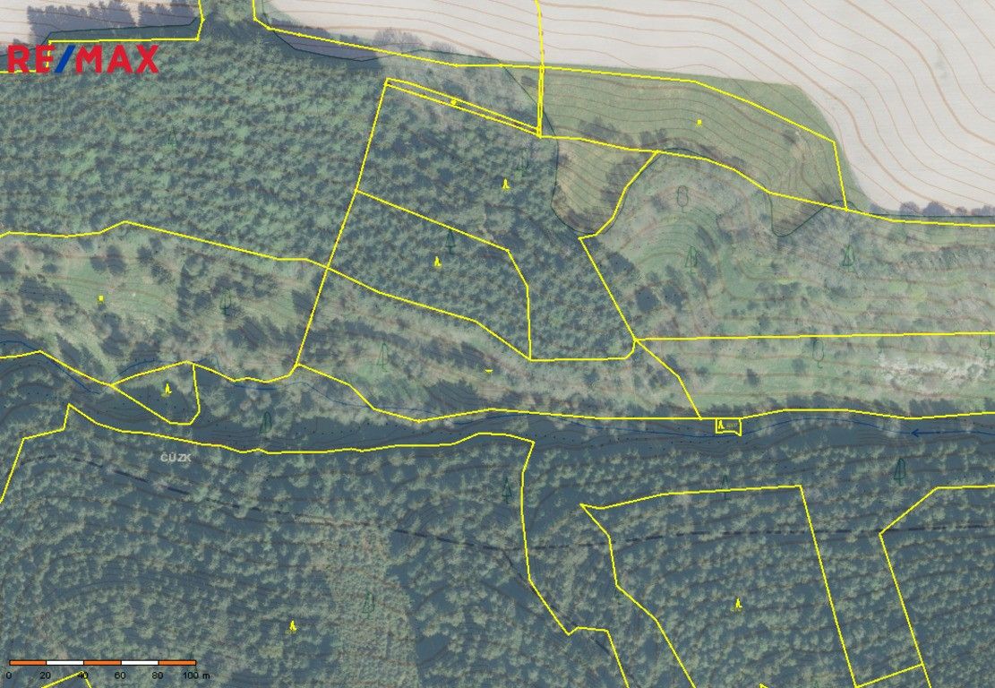 Prodej les - Jindřichovice, 110 000 m²