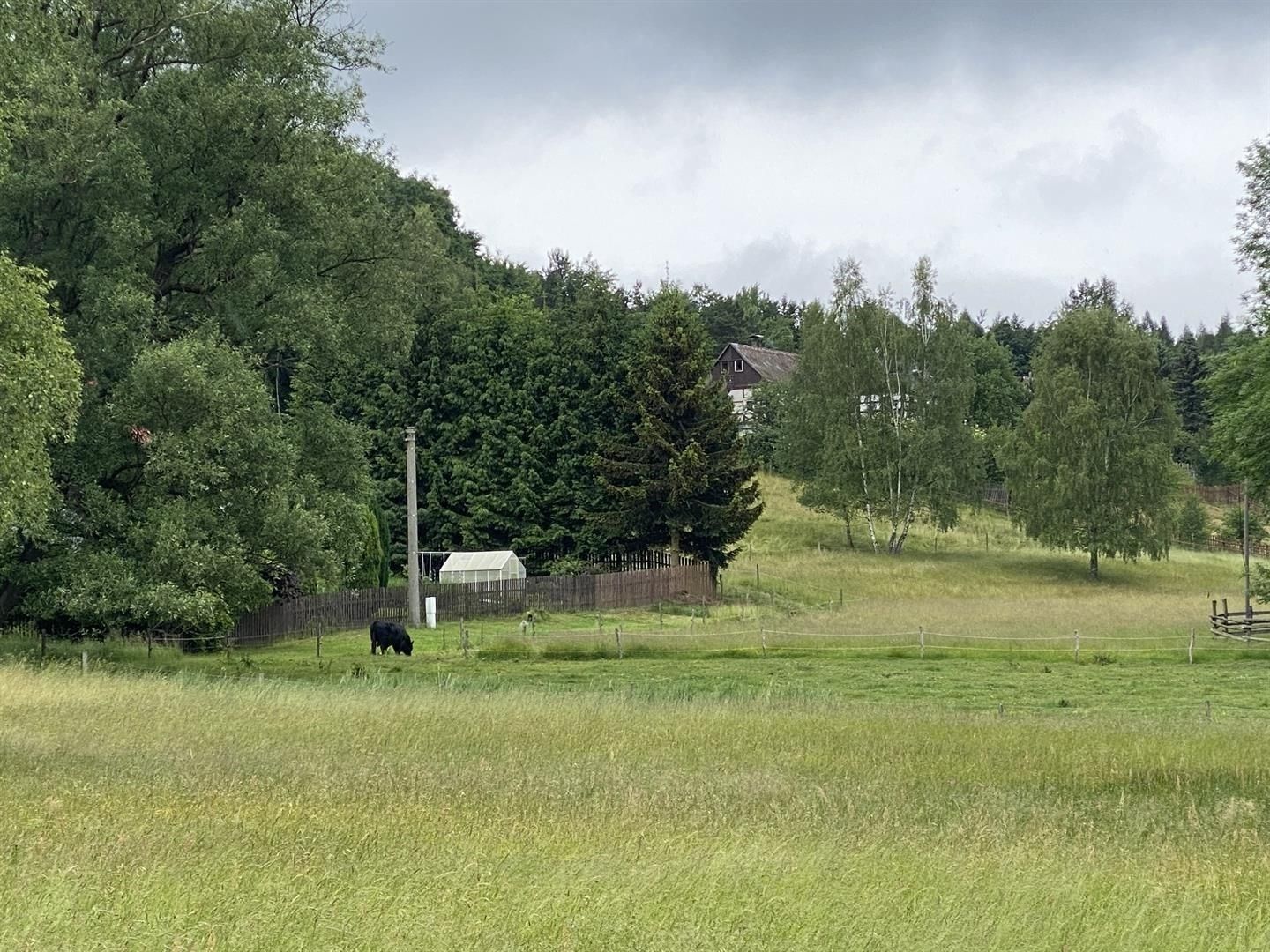 Prodej louka - Děčín