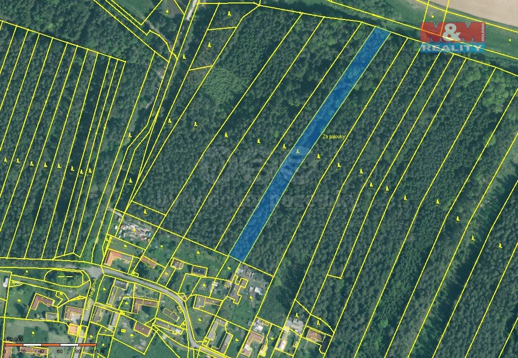 Prodej les - Týn nad Vltavou, 375 01, 5 161 m²