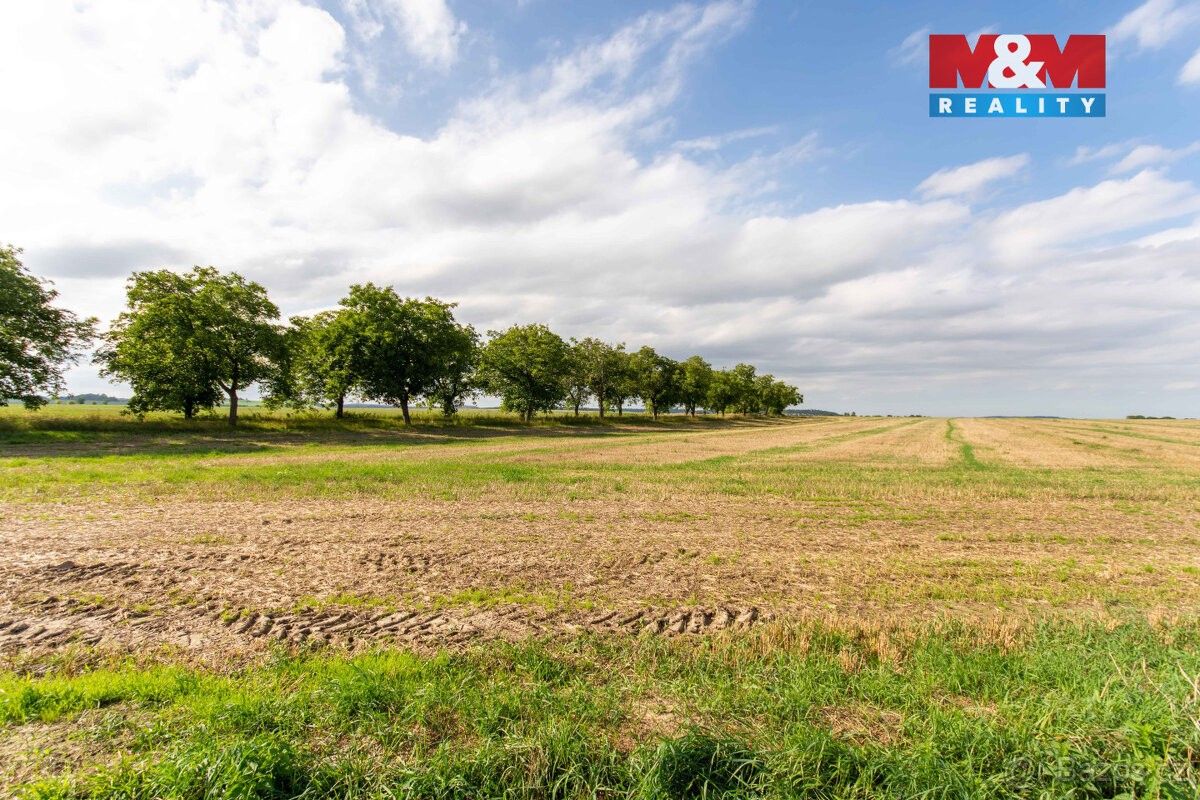 Prodej pozemek pro bydlení - Brumovice, 747 71