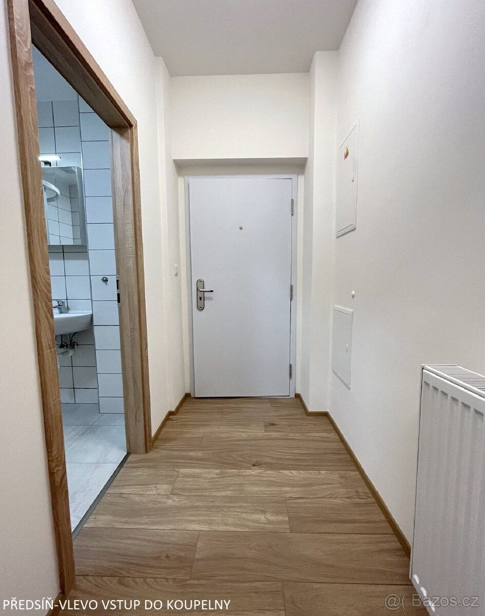 1+1, Brno, 602 00, 32 m²