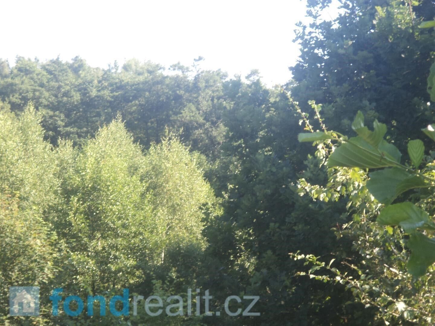 Prodej pozemek - Dětmarovice, 2 m²