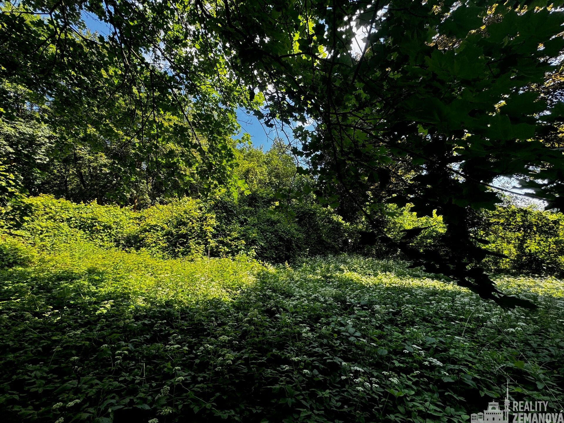 Pozemky pro bydlení, Tiché údolí, Roztoky, 7 834 m²