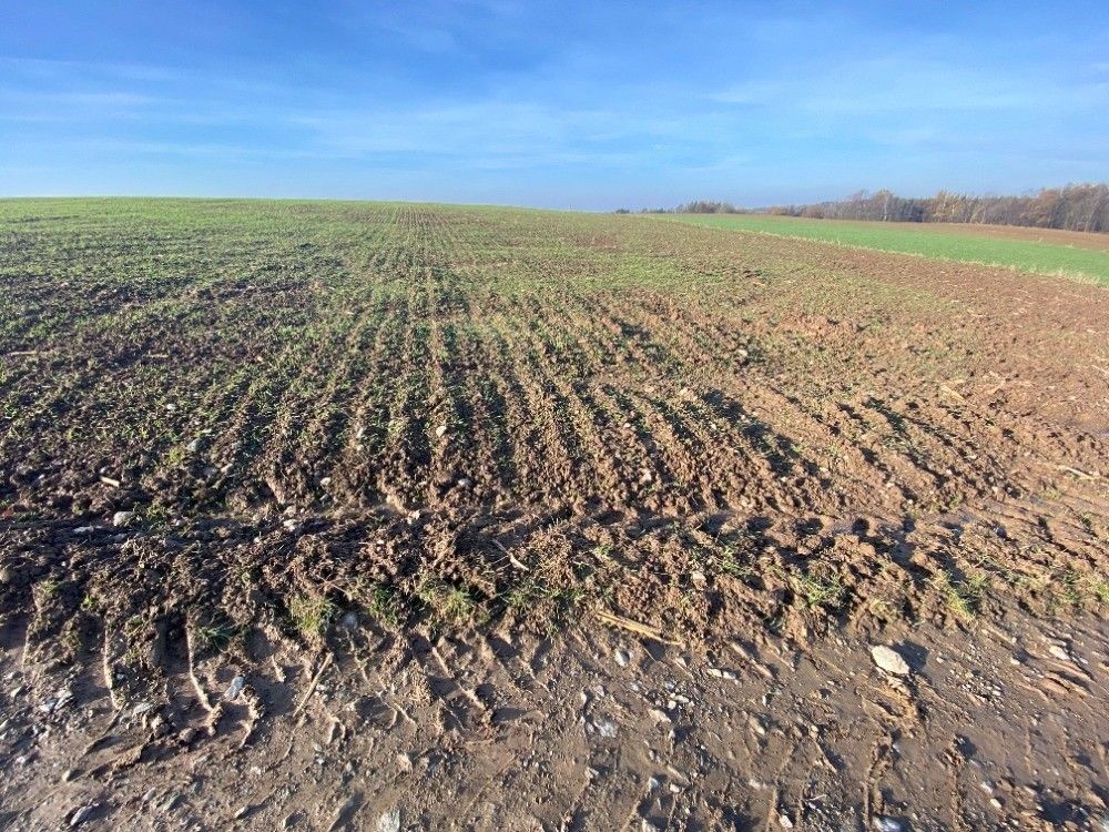 Pozemky pro bydlení, Stěžery, 503 21